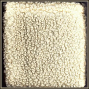 Why Sheep?
