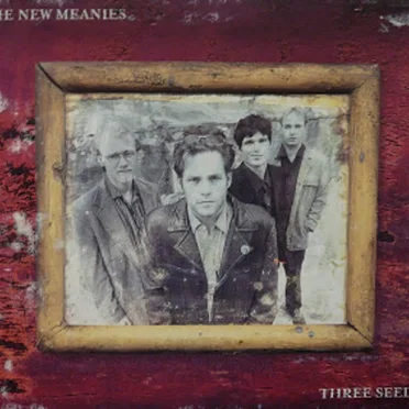 Three Seeds by The New Meanies - album cover