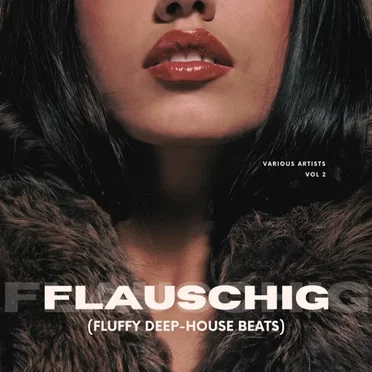 Flauschig (Fluffy Deep-House Beats), Vol. 2 by Various Artists - album cover