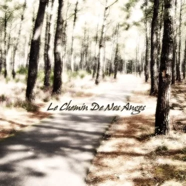 Le Chemin de nos anges by Whiteyes - album cover