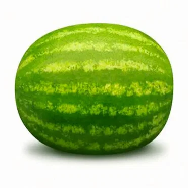 Holographic Watermelon