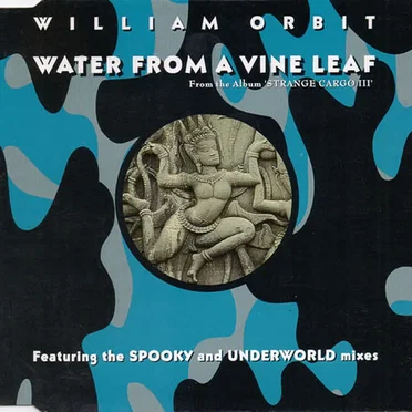 Water From a Vine Leaf