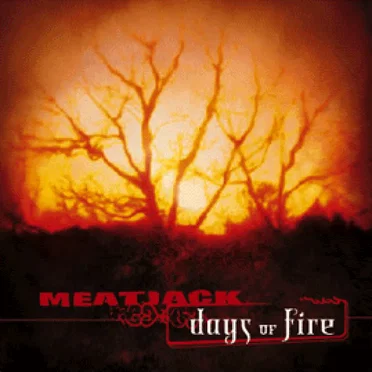Days of Fire