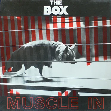 Muscle In