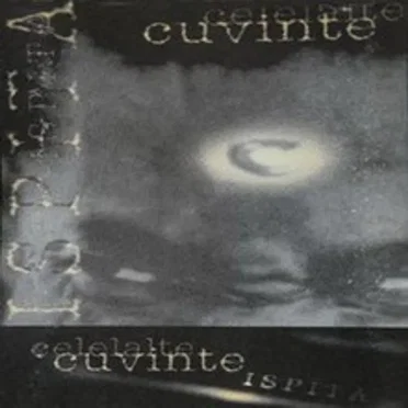 Ispita by Celelalte cuvinte - album cover