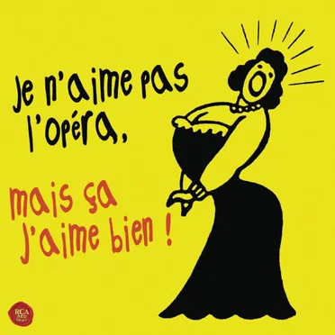 Je n’aime pas l’opéra, mais ça j’aime bien ! by Various Artists - album cover