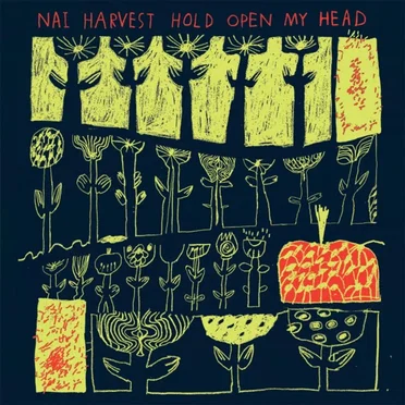 Hold Open My Head by Nai Harvest - album cover