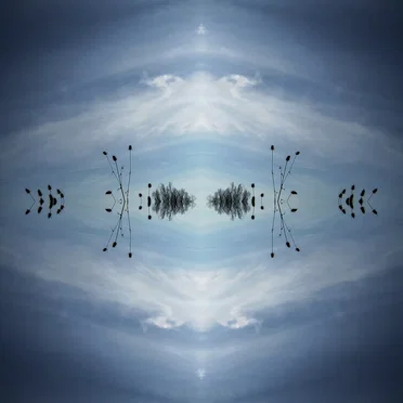 Δίοδες|Diodes