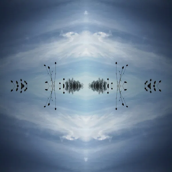 Δίοδες|Diodes