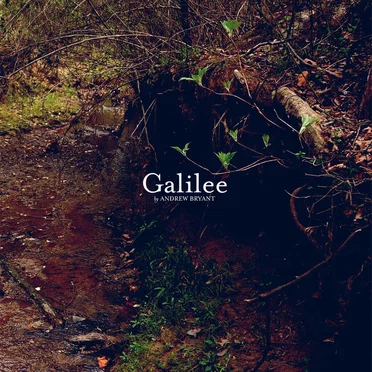 Galilee by Andrew Bryant - album cover