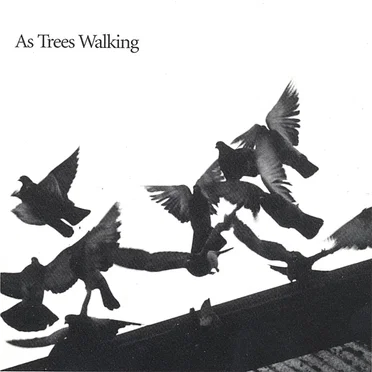 As Trees Walking by Mitch Dorge - album cover