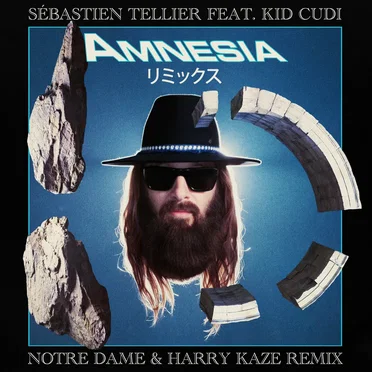 Amnesia (Notre Dame & Harry Kaze remix) by Sébastien Tellier - album cover