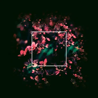 Flowertraces by Jan Amit - album cover