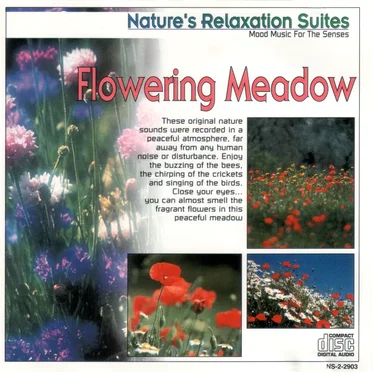 Nature’s Relaxation Suites: Flowering Meadow
