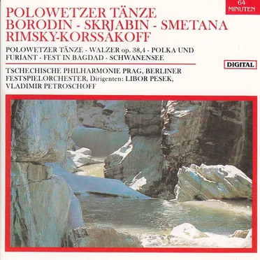 Polowetzer Tänze by Various Artists - album cover