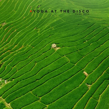 Living Check by Yoga at the Disco - album cover