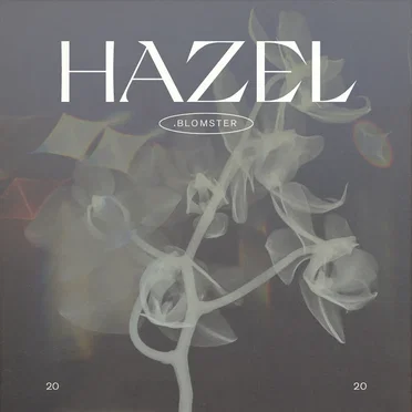 Hazel