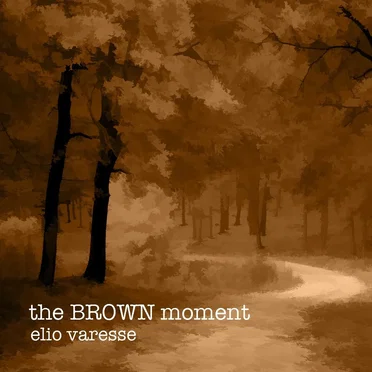 the BROWN moment by Elio Varesse - album cover