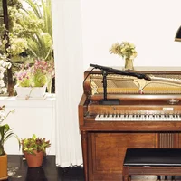 Emile Haynie artist image