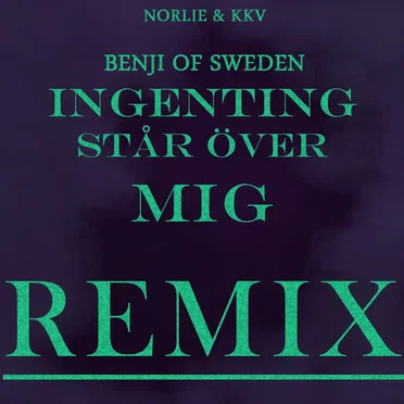 Ingenting står över mig (Benji Of Sweden Remixes)
