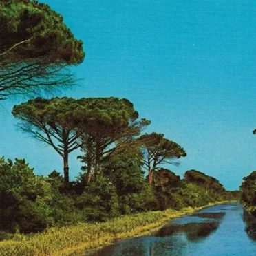 Pinarella Blues by Il lungo addio - album cover