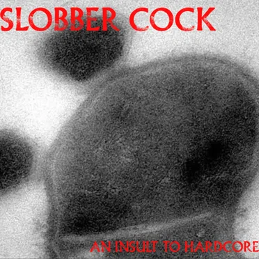 An Insult to Hardcore
