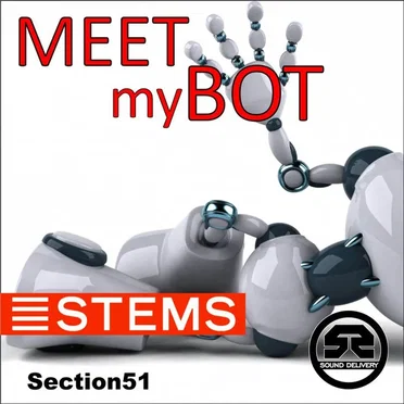 Meet My Bot by Section51 - album cover