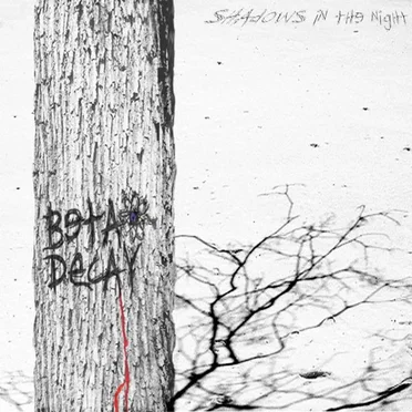 Shadows in the Night by Beta Decay - album cover