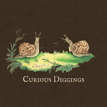 Curious Diggings