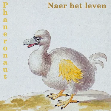 Naer het leven