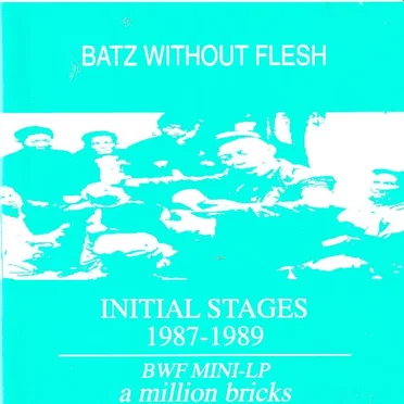 Initial Stages 1987-1989