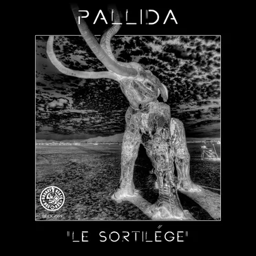 Pallida