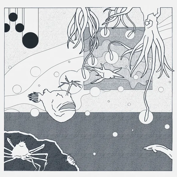 Dwellers of the Seabed