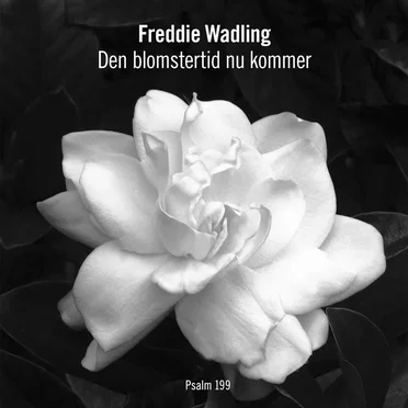 Den blomstertid nu kommer