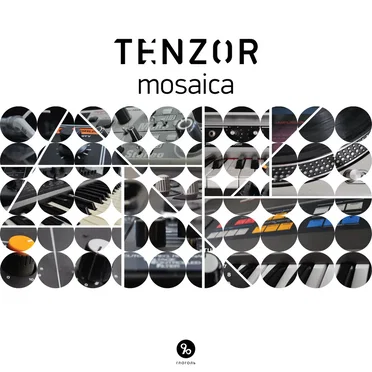Tenzor