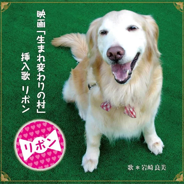 リボン