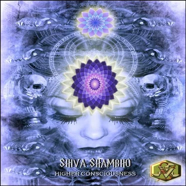 Higher Consciousness