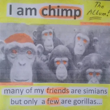 Many of My Friends Are Simians but Only a Few Are Gorillas