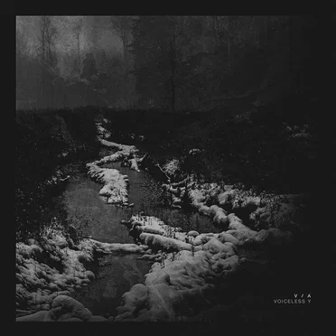 Voiceless Y by Various Artists - album cover