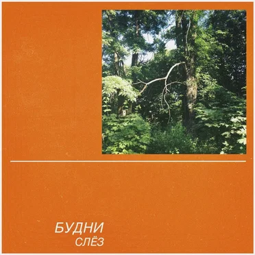 Слёз