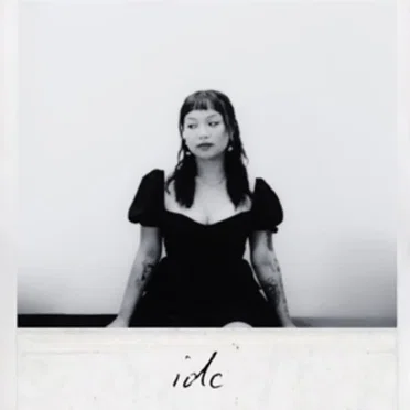 idc by Laica - album cover