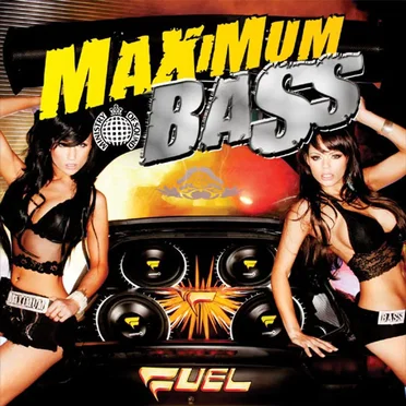 Ministry of Sound: Maximum Bass by Various Artists - album cover