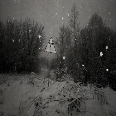 Ashen Winter of Chernobyl