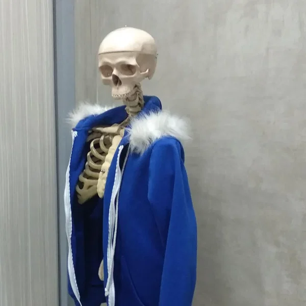 sans in real life.