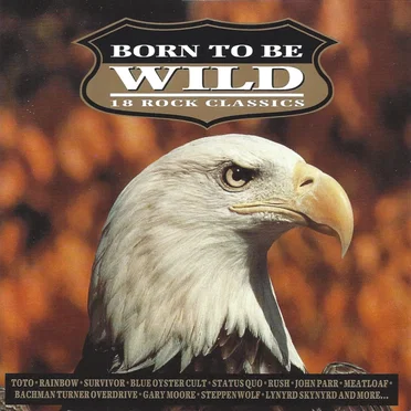 Born to Be Wild by Various Artists - album cover