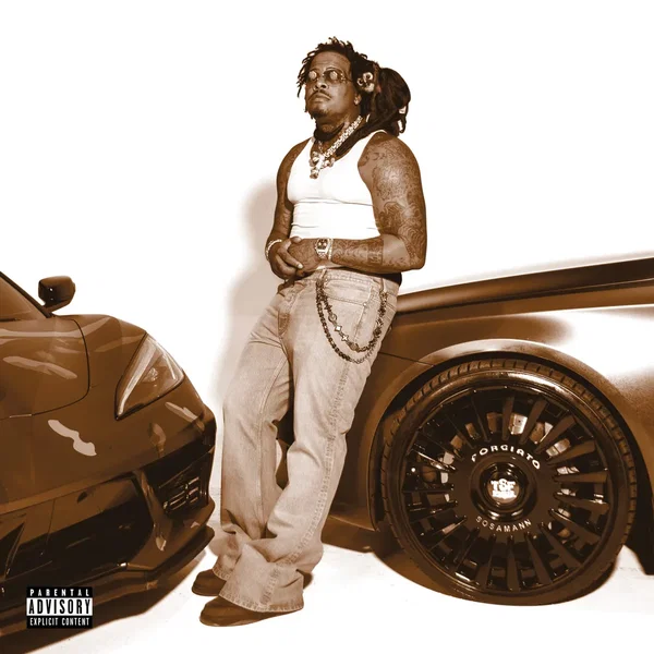 The Brown Album