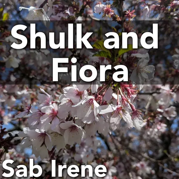 Shulk and Fiora (From “Xenoblade Chronicles”) [Cover Version]