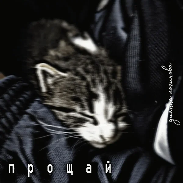 Прощай
