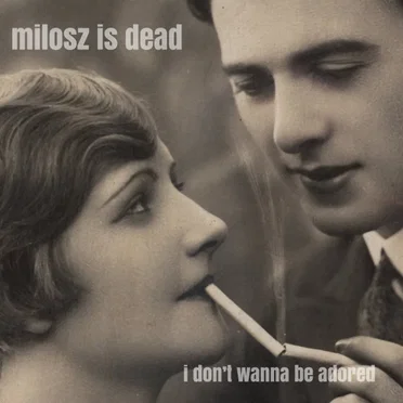 I Don't Wanna Be Adored