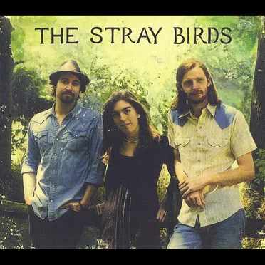 The Stray Birds by The Stray Birds - album cover